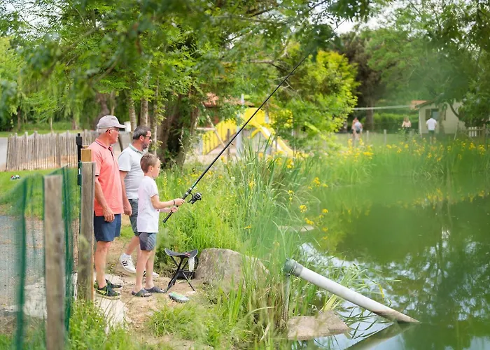 Mobilehome Evasion 55